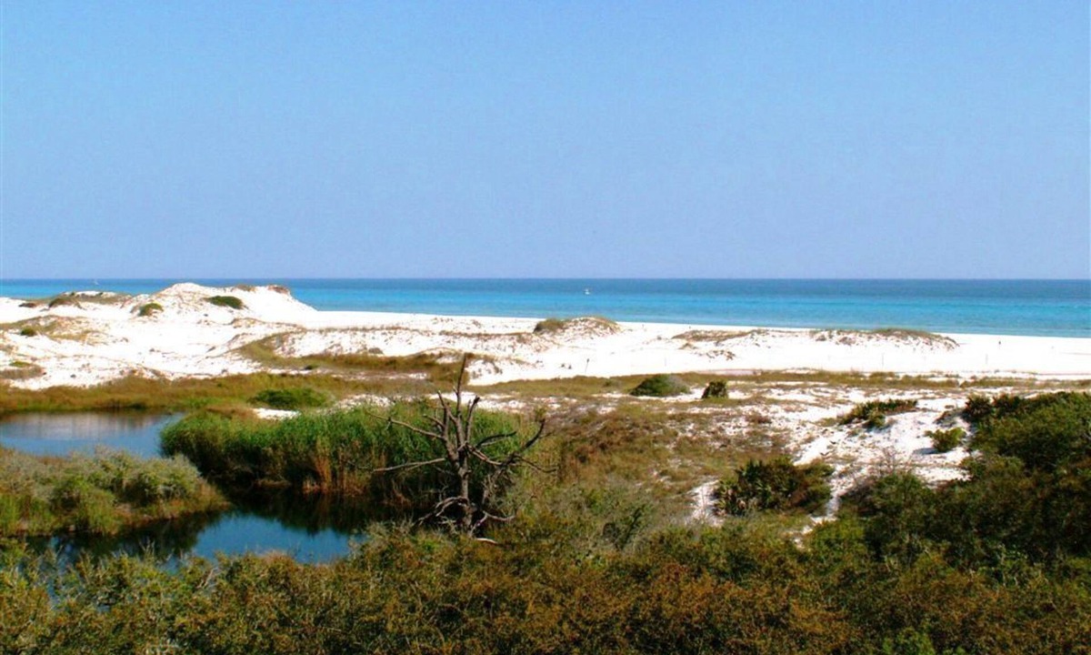 Grayton Beach House | Discover a True Gem by the Sea surrounded by Grayton State Park and the Gulf