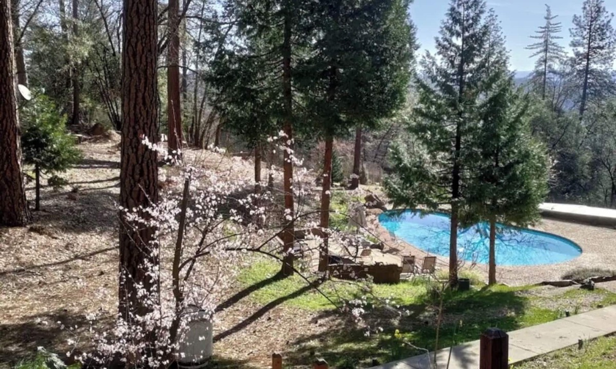 Cedar Ridge Apartment | Forest Studio with Pool & Mountain View’s
