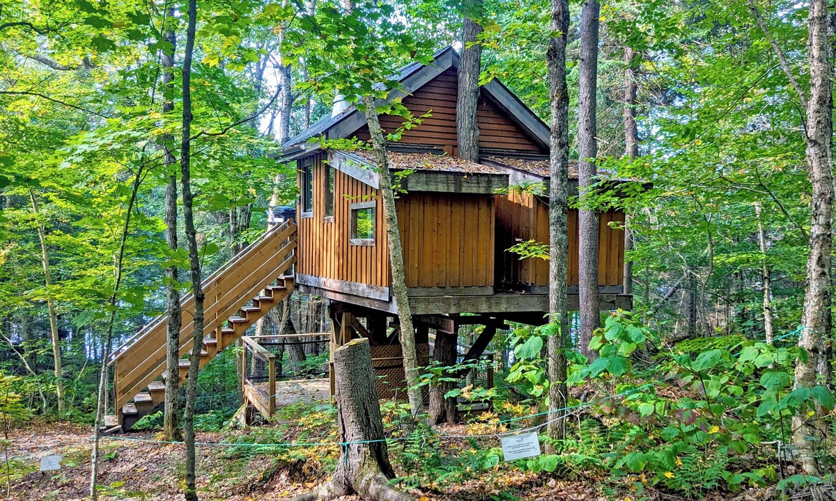 Saint-Faustin-Lac-Carre House | Perched treehouse with a tree growing through the deck | Lodging #08