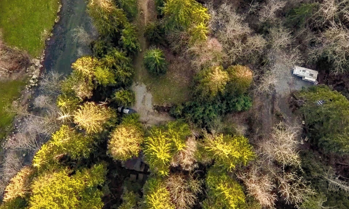 Maple Ridge Cabin | Rustic Old Cabin on the Alouette River