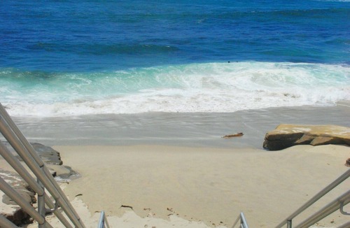 Beach Barber Tract Apartment | Beachcombers Hideaway, Dog Friendly, Enclosed Patio, 1 Block to Beach
