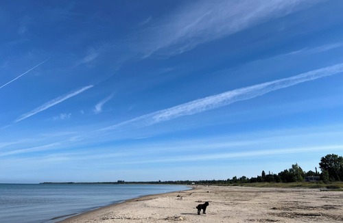 Sauble Beach Cabin | Centrally located cabin in beautiful Sauble Beach. The cutest little getaway!