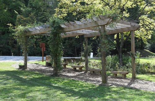 Mineral Bluff Cabin | Charming Shared Cabin at Project Chimps Sanctuary