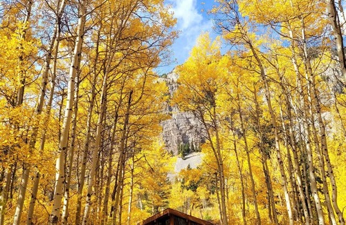 Crowsnest Pass Cabin | Crowsnest River Chalet - Eagle