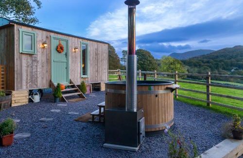 Bont Newydd Cabin | Elephant View Shepherds Hut