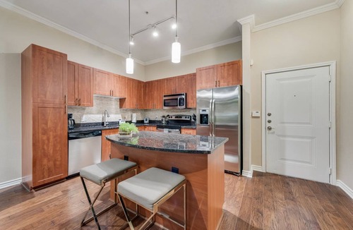 Grapevine Apartment | GV001 |Spacious 1BD Apt| D/town Grapevine