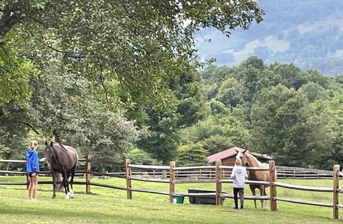 Dryfork Cabin | Romantic "Morning Glory” for 2 has a tranquil setting across from a horse farm!