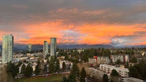 Surrey Apartment | Skyline Haven
