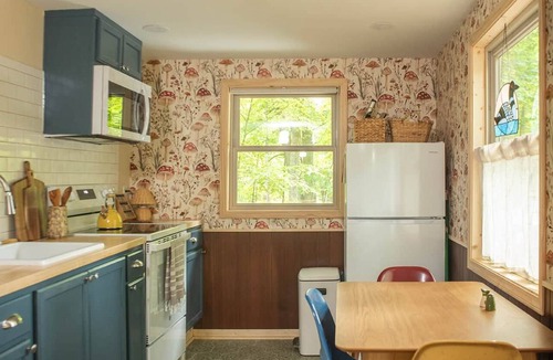 Iron River Cabin | The Toadstool Cabin by Ursa Lodge