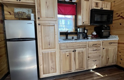 Granbury Cabin | Tiny Cottage with Pickleball and Pet Friendly