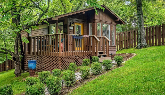 1 Bedroom Cabin In The Woods, Covered Porch, Jacuzzi, Kitchen & Hot Tub. in Eureka Springs