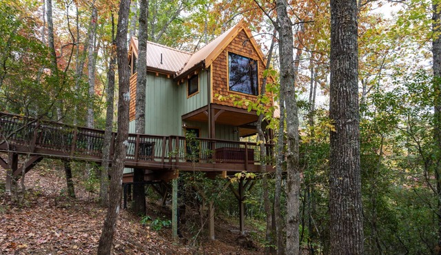 A-Frame Treehouse with Giant Treetop Net - The Carpentree in Highlands