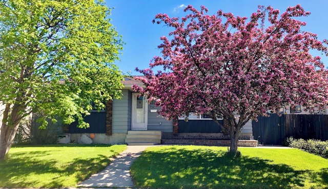 Basement suite for you to feel like home. Near City Center-Perfect for Getaways in Edmonton