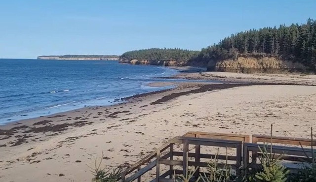 Beach access with Ocean View; Cabot Trail 25 km away. in Black Rock