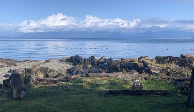 Beachfront cottage right on Kye Bay, Comoxn in Comox