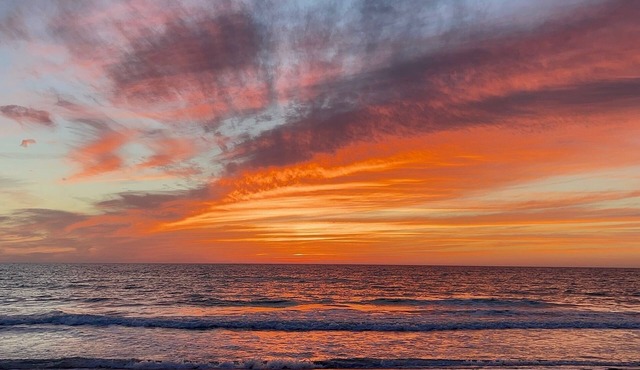 Beachside, with endless sunsets, in our modern 2-bedroom in Belleair Beach. in Belleair Beach