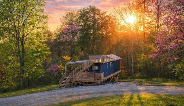 Blue Bird Tiny House: Hot Tub + Rooftop Deck in Logan