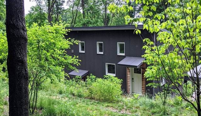 Bright/modern escape : nestled in the forest, walk to the village & train in Cold Spring