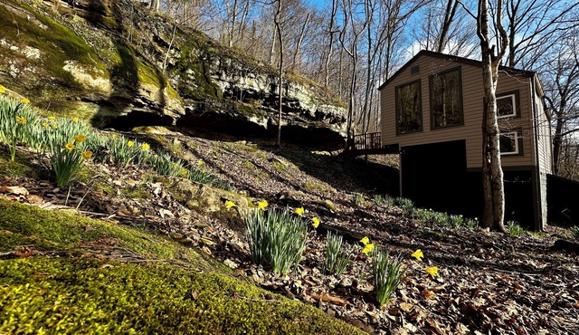 Cozy Bluff Retreat by Giant City & Makanda Boardwalk. 9 miles to SIU. in Makanda