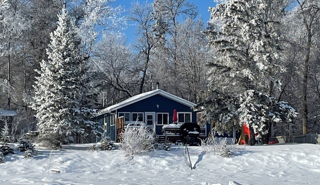 Cozy Lakefront Cottage Summer Fun/Winter Adventures! in Spruce Sands