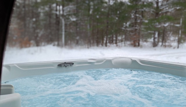 Cozy "Wildwood Lodge" Nestled in a Beautifully Wooded Setting - Pet Friendly in Elmira