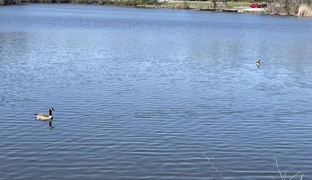 Eclipse Campsites Available. Waterfront views in Carbondale