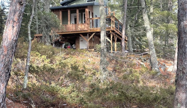 Extremely private remote get away, nestled in the pine trees on pristine lake in Longbow lake