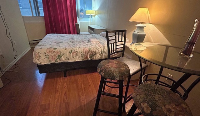 Furnished bachelor studio near Dundas/College Station, Toronto Metropolitan Uni. in Toronto