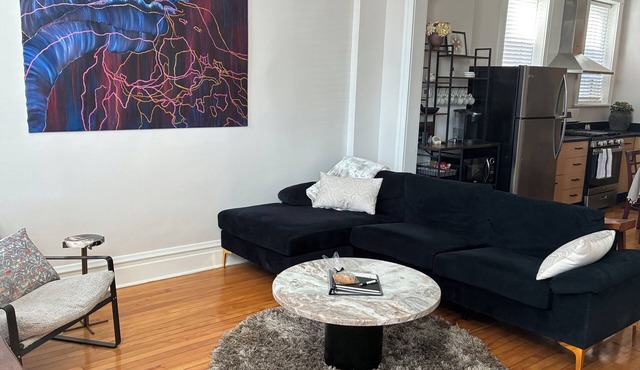 Historic feel, Modern comfort Walk to parks and food in beautiful Chicago in Chicago