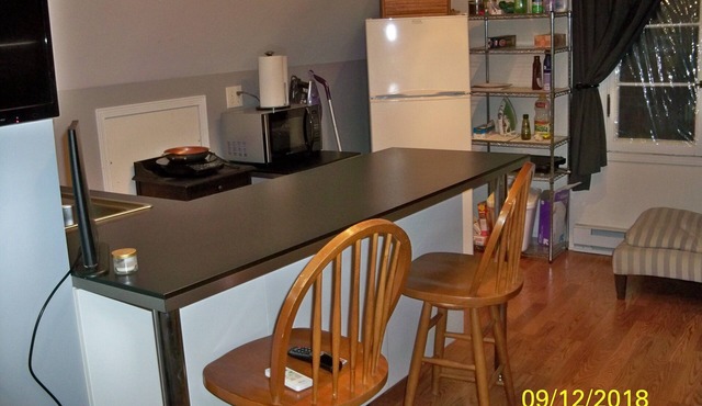 Loft Apt is above a detached Garage. Full bathroom, kitchenette, fridge, A/C in Des Plaines