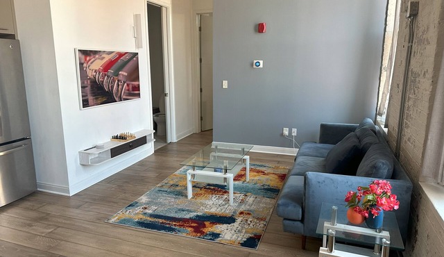 Loft Condo Downtown Cincinnati! Close to OTR! in Cincinnati