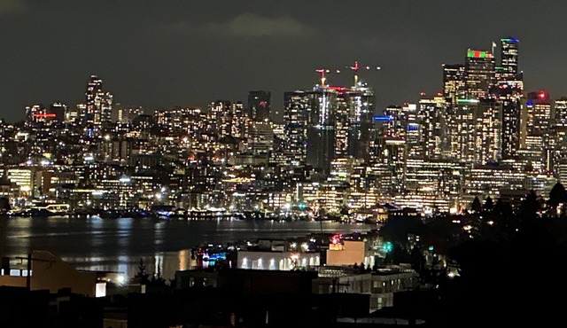 Luxe home near Space Needle & Lumen Field w/Views in Seattle