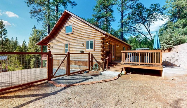 Murphys Cozy Cabin in Murphys