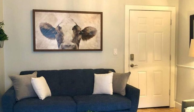 Overlooking Downtown Dunedin Two Bedroom apartment in Dunedin