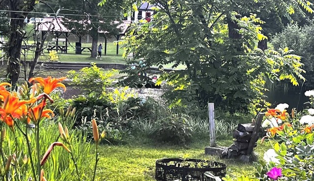 Peaceful Riverside Park Cottage in the town of Bancroft free parking/fireplace in Bancroft