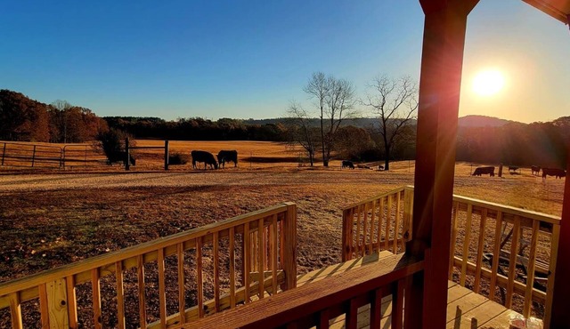 Peaceful Tiny House on 32 acres in Hamilton