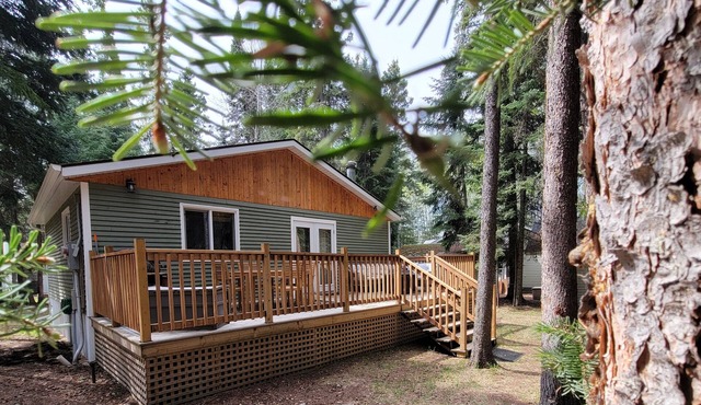 Pinescape: Cabin WiFi Wood Fireplace Pet friendly Fish Relaxation in Big River