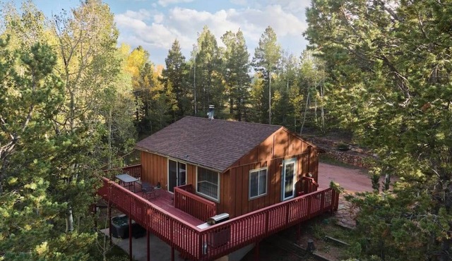 Private Mountain Cabin w/Hot Tub + Forest Views in Divide