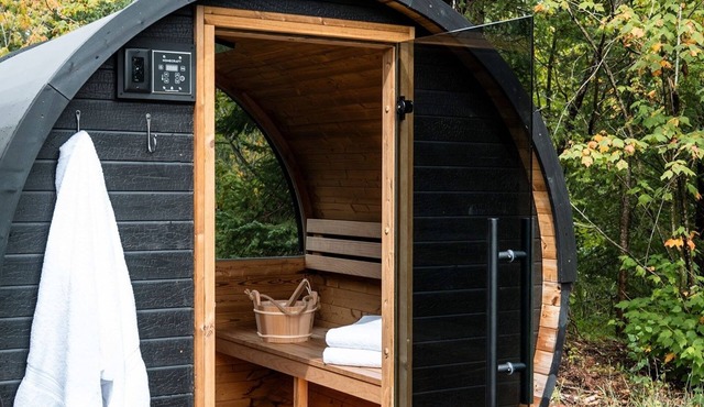 Private Sauna + Fireplace · Wildernest Cabins #3 in Duluth