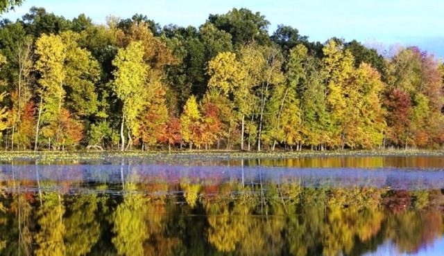 Rest & Relaxation in Marcellus