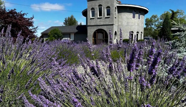 Sequim Lavender Castle in Sequim