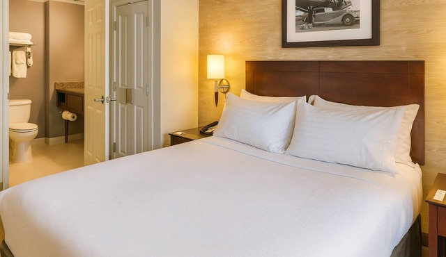 Spacious Good-Value Accommodation! Pet-Friendly Property with Onsite Parking! in Rosemont