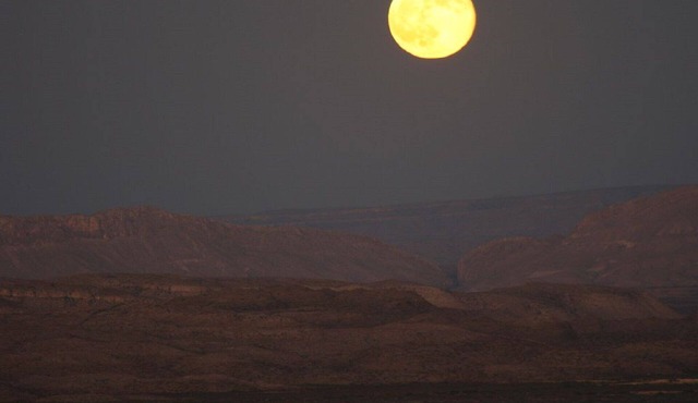 Spectacular Mountain Views. (Small Cabin) in Terlingua
