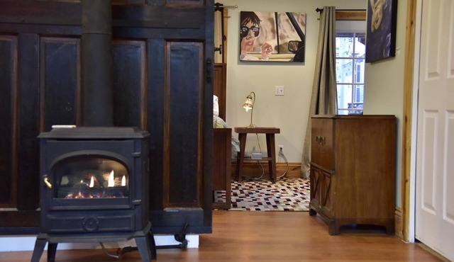 Steampunk Art Studio-Carriage House: Hot Tub, Firepit, yard, walkable, Near LODO in Denver