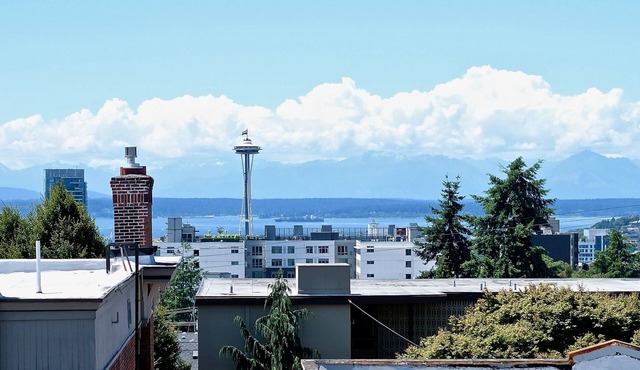 Stunning Capitol Hill View Apartment in Seattle