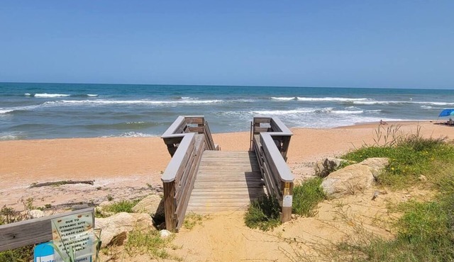 The Blue Dolphin Beach Cottage - Bring your bathing suit and your pup! in Ormond Beach
