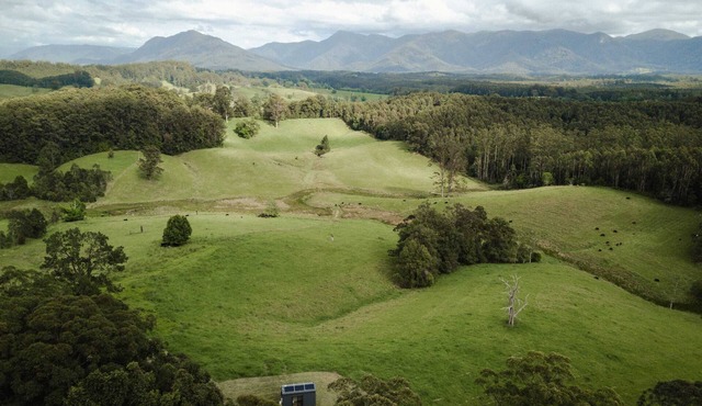 Tiny Nancy Summary: H in Bellingen