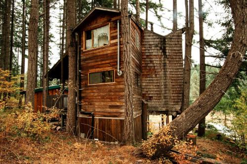 Tree House Style Cabin Nestled at the Foot of Scenic Snow-Capped Mt. Adams, Washington in White Salmon