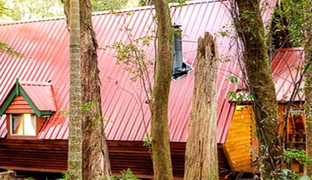 Unique Rainforest Cabin on Springbrook Mountain in Queensland in Springbrook