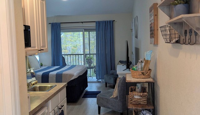 Vaulted Studio King Suite, 3rd Floor, Private Lanai - Clothing Optional in Lutz